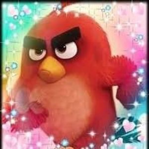 Meet your Posher, Bonnie